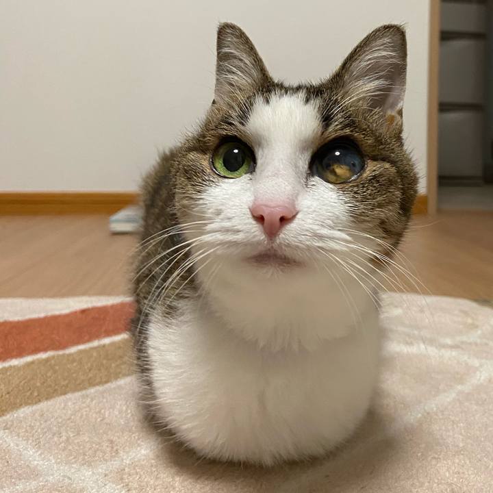 2f346e0c 22b4 4d52 bbd9 2040516deefe 1581842762798