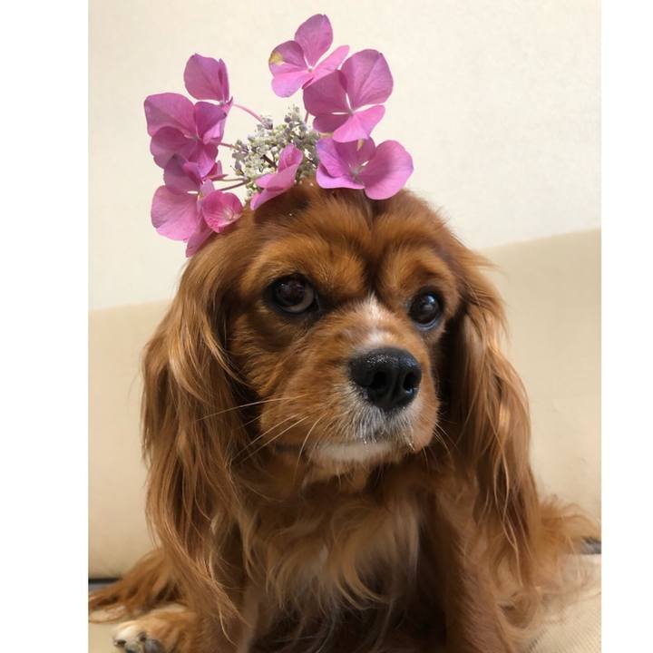 2f34770b 5053 4ffe 8523 d2f58a8159b8 1592735103440