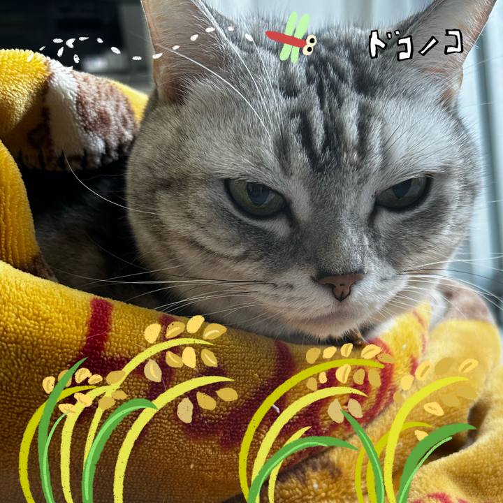 2f348e17 37e5 4ac0 bb3f 0af2c73d26e8 1761867089461