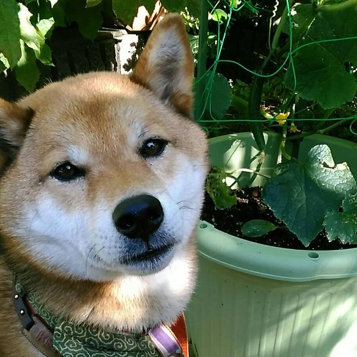 2f3498ff 7d02 466a bc48 ffa43d6822c2 1527808156908