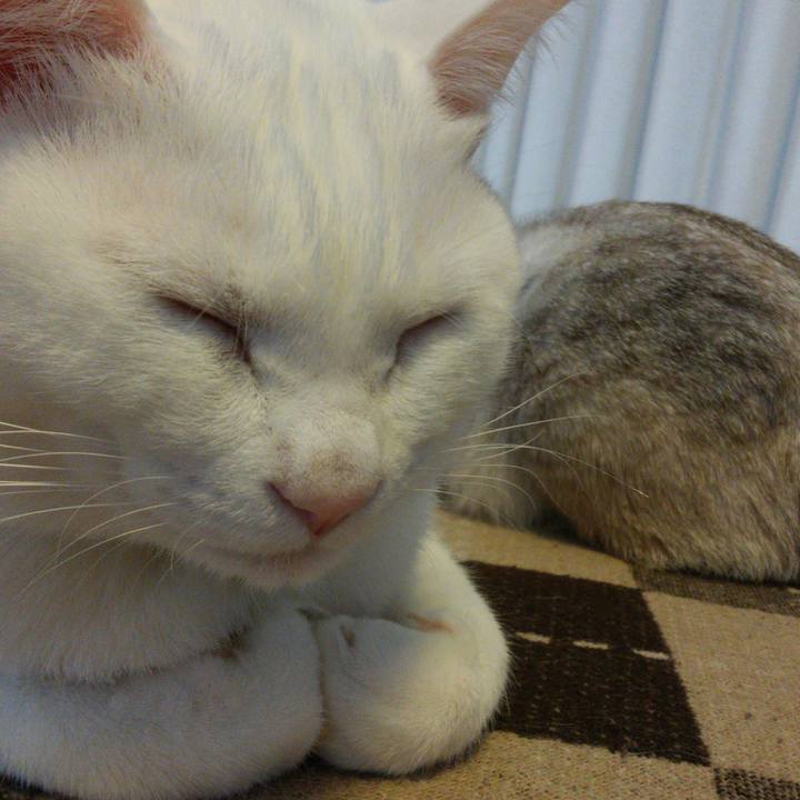 2f34b735 5a48 4d38 b3d9 32a9ed01df9a 1515457254605