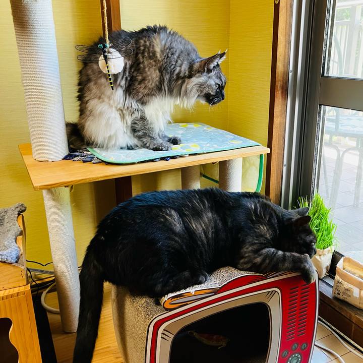 2f34e08d 7492 49c6 8a77 90b40a698a1c 1751155134840