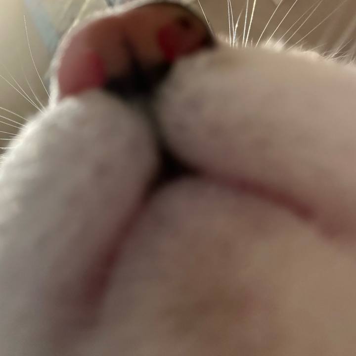 2f34e5ab 05ee 42c2 88d5 55acade7a702 1761667274429