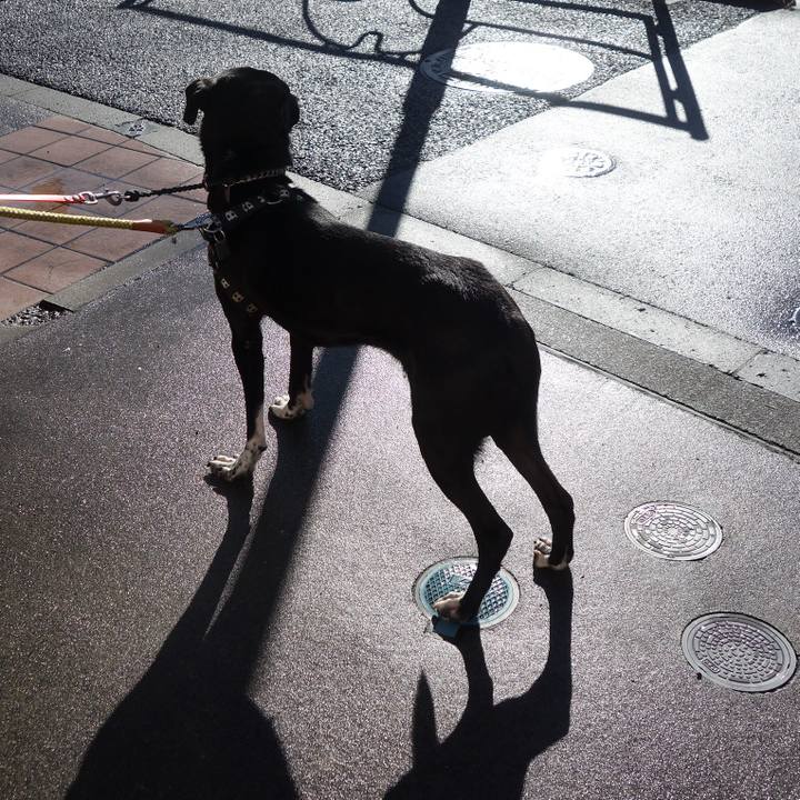 2f35023f 11c9 4e04 832a 3674bffa8206 1738109446439