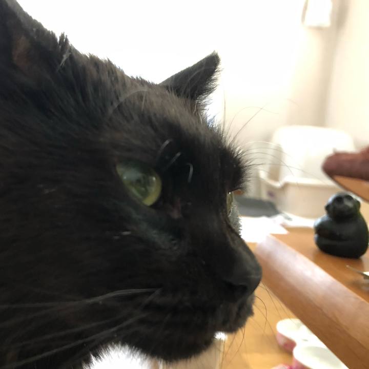 2f355732 b604 4cdb 9e61 79a8b569bd35 1592169900983