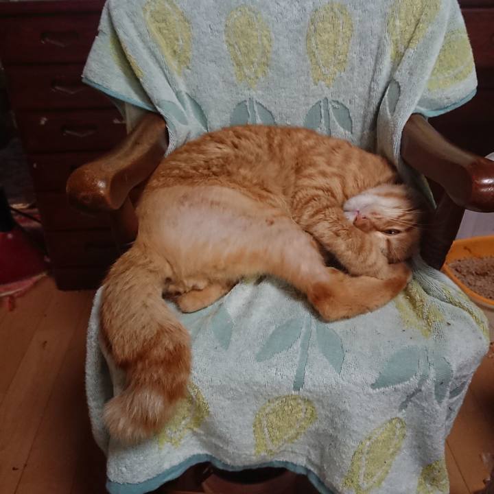 2f356d4a c46d 4efc 9431 de43a7df43e6 1656882383595