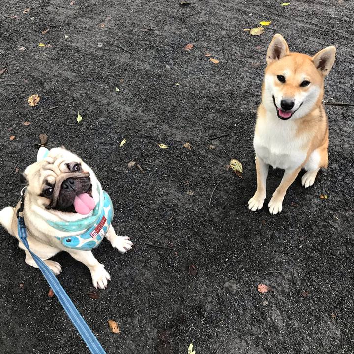 2f3595d3 54d3 4949 850a e6eb3f056f92 1567041761169