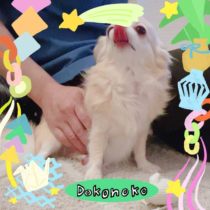 2f35da79 0260 4f0e 8171 017632bb87f4 1755351486231