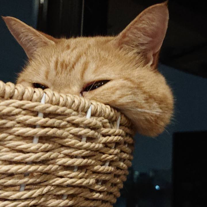 2f35fec9 1b0f 40f9 b118 fa7cb680c826 1565884633080