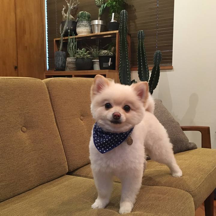 2f364117 b161 4d25 bb0b ec7f6928e314 1548577945771