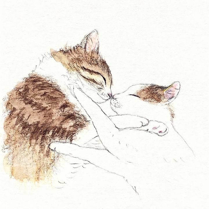 2f365330 7999 4216 a835 d6cb7f71e60a 1655883851761