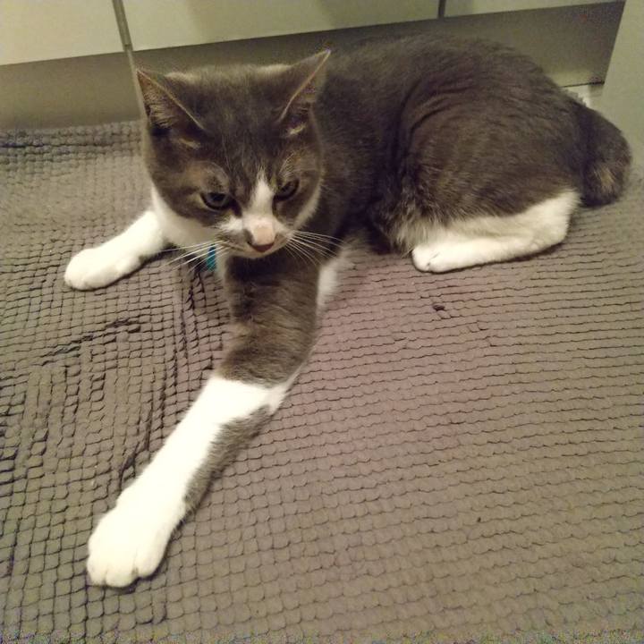 2f365cac aa17 4e4b bdbb 06655b922dd6 1621872712036