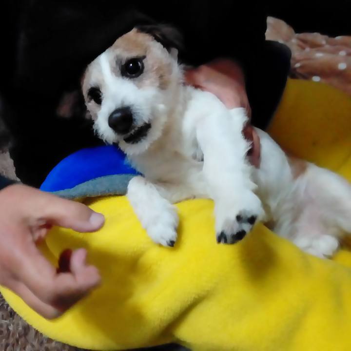 2f368818 7d0a 4c69 98c7 9560ccb0b3af 1516620090027