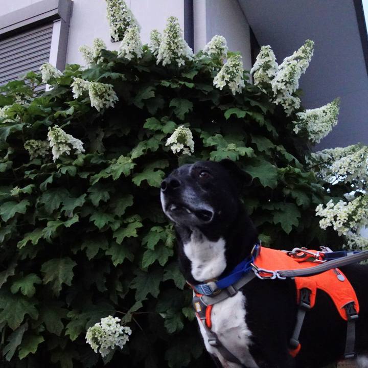 2f369195 e43f 4036 8150 31e3e9a62874 1747960003438