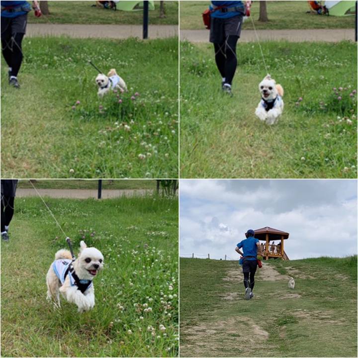 2f36ad10 cbd8 4834 b709 741809892395 1558264539635