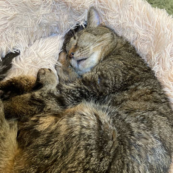 2f36b03d dada 4e6f 8853 2bd89dade887 1686893853854