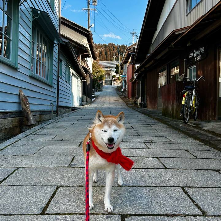 2f36d075 7701 4a7d 8038 fc953185d984 1768641001723