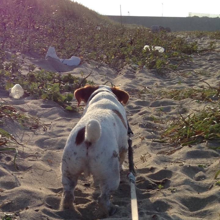 2f36d9c7 466d 4b90 9fb4 95e434edf8ee 1507706134942