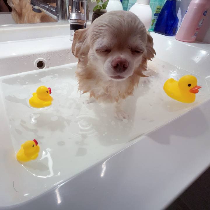 2f36e90e 0ad8 48ba 910f 230380da10a6 1752752364069