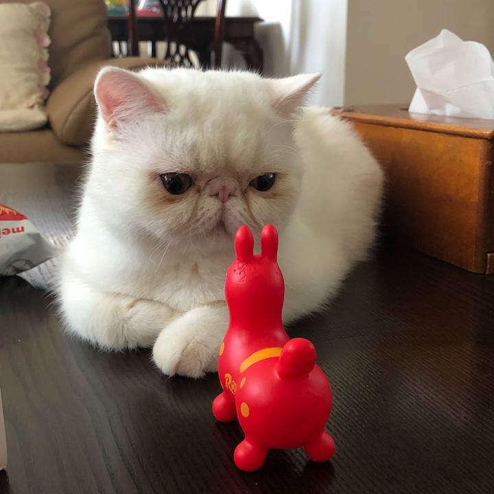 2f3766b3 4034 4b36 a03d b988bcbdd9d0 1565528815043