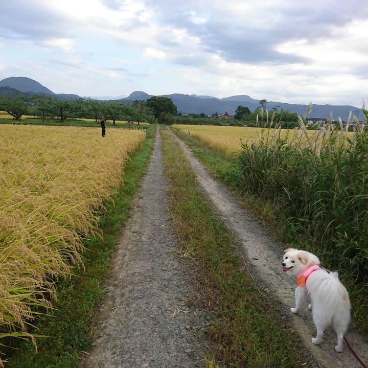 2f377b48 4bfb 4b08 b58d c959667cb32c 1538520222938