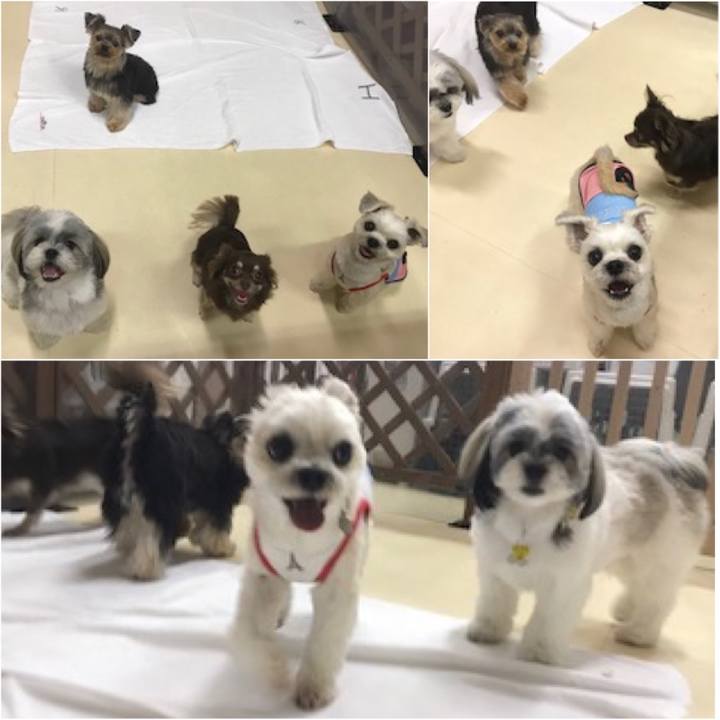 2f37b0fe e2c3 42af 95d7 e47d154440fe 1568975446003