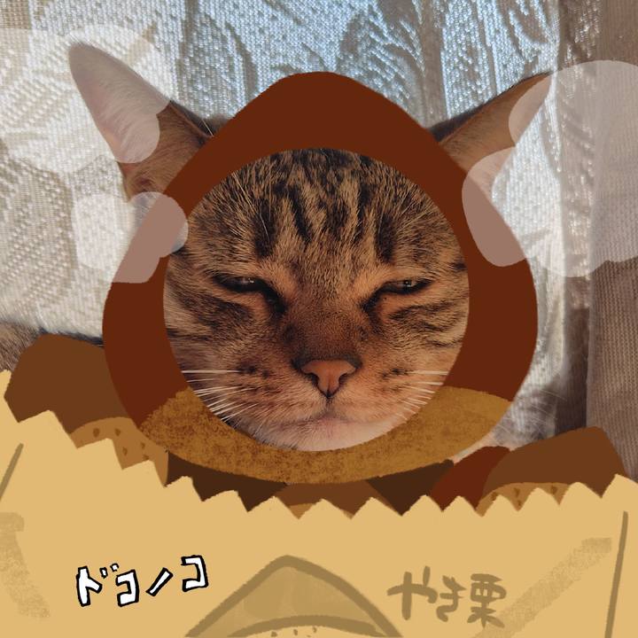 2f37e847 0024 405b a08d cefd80e4c3d8 1791683401522