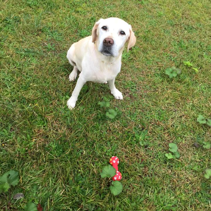 2f37eb27 c224 4eb2 97c4 2d041356c04b 1508191840860