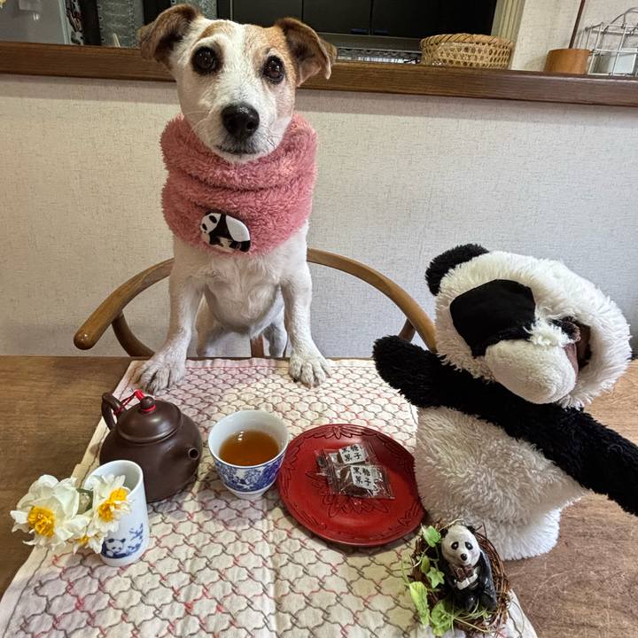 2f3850ca 65bc 45c1 bf4a 5debbba54e6c 1769598004139