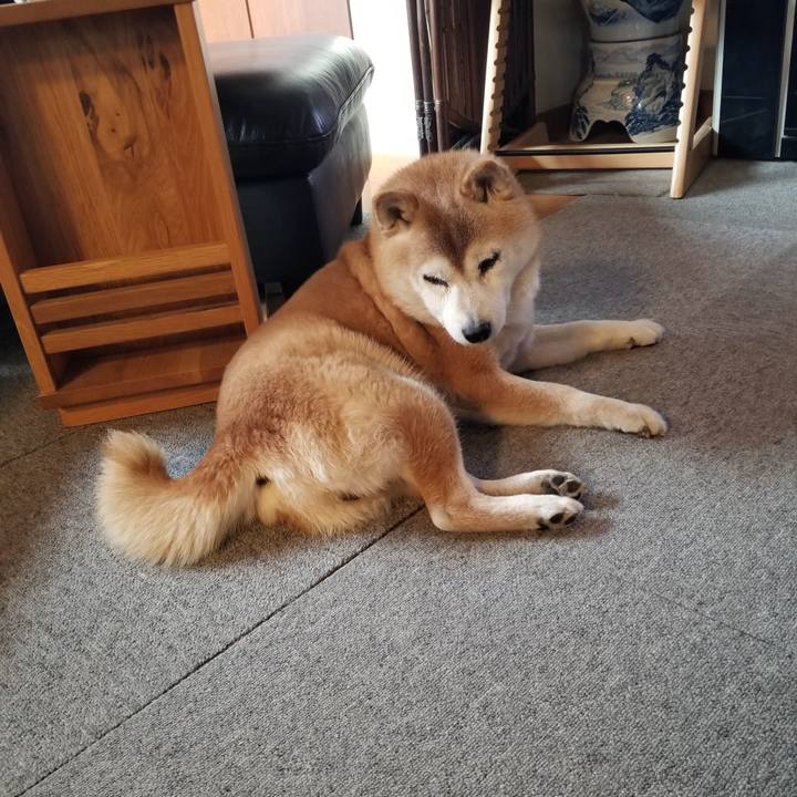 2f38866a 43fb 4019 a40c 10953b7a8d21 1741648928746