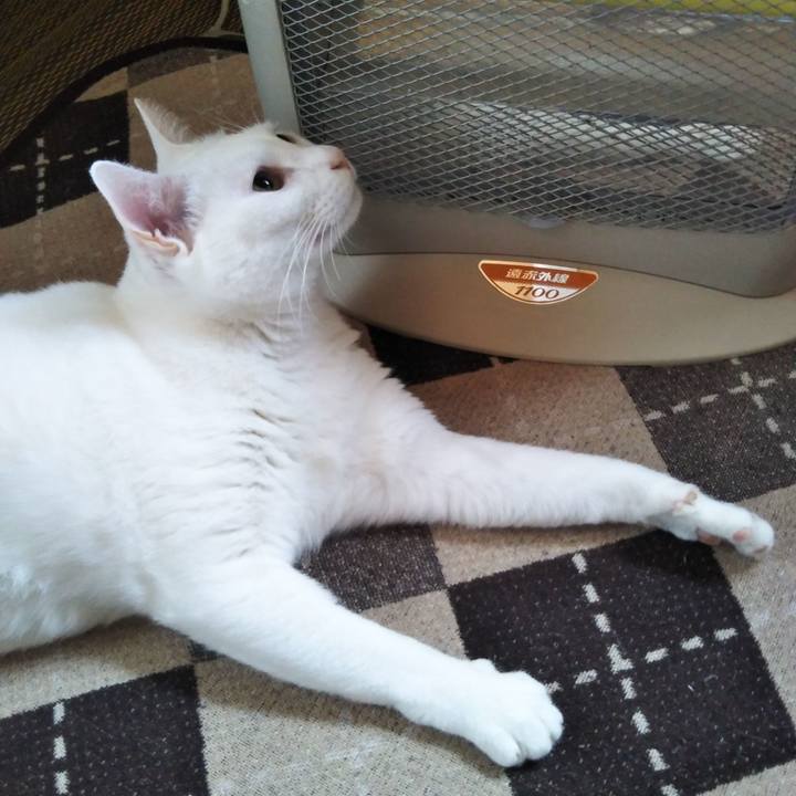 2f388f5f 8f85 4cdd ad95 4071658ec498 1576282402928