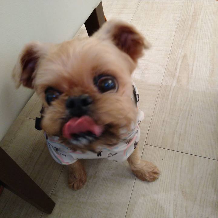 2f389d40 9ed7 456c 80cb 404ed7cd5a2c 1632525797690