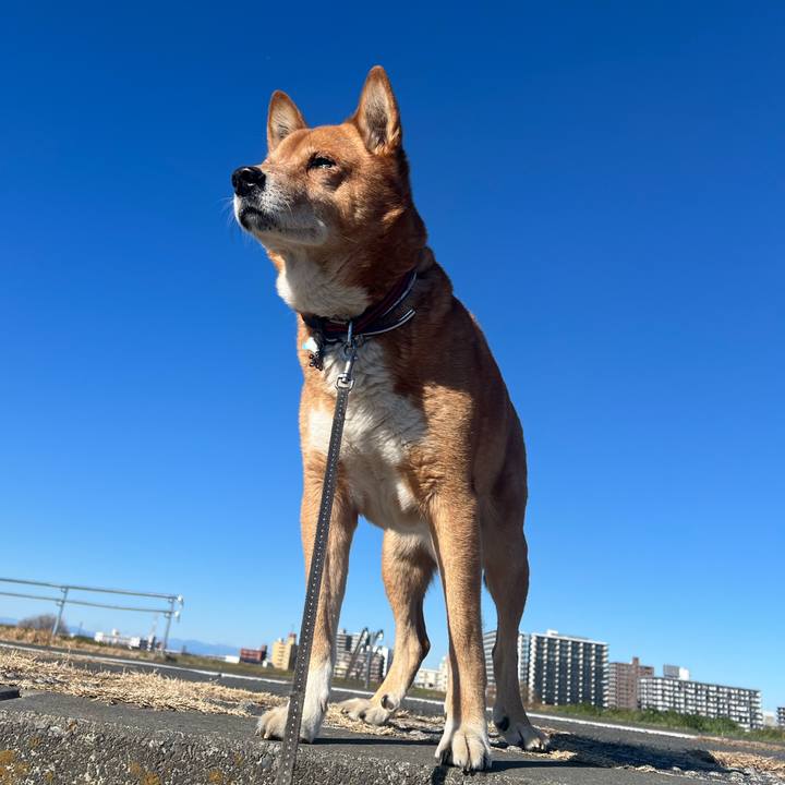 2f38a65c 2026 47f6 960e 11a0fdefc73a 1739074554418