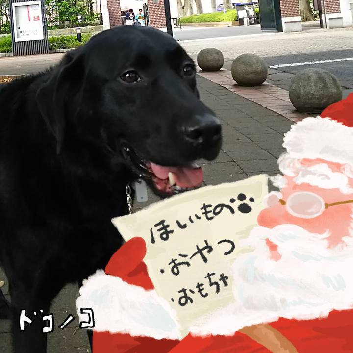 2f38fe22 b2d0 4dcb 831c de883839b014 1729936320184