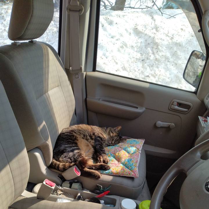 2f392d51 114b 41a3 ab92 a9402017d683 1742627513876