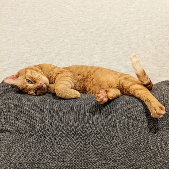 2f392f43 c2ac 4a89 9fed d81b05bcfa61 1659953929068