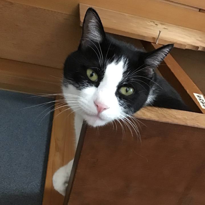 2f3933a6 3c34 4e7e 8f84 70d66181015b 1754041066202