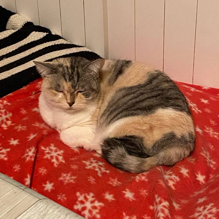 2f3943e1 73b7 4b18 9d25 c29f71e4b927 1576312460372