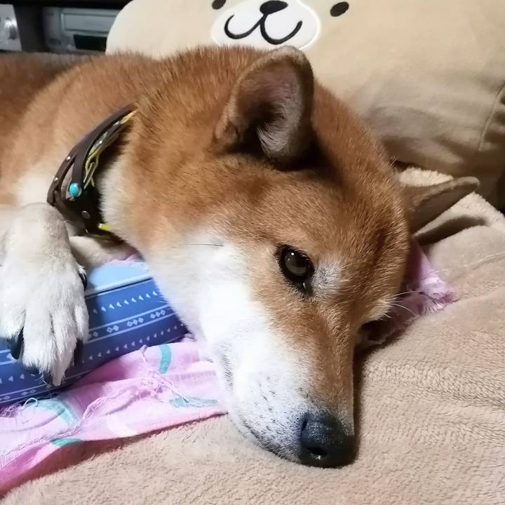 2f3947ea 138c 4788 a760 7e178f5a6caa 1600921594196