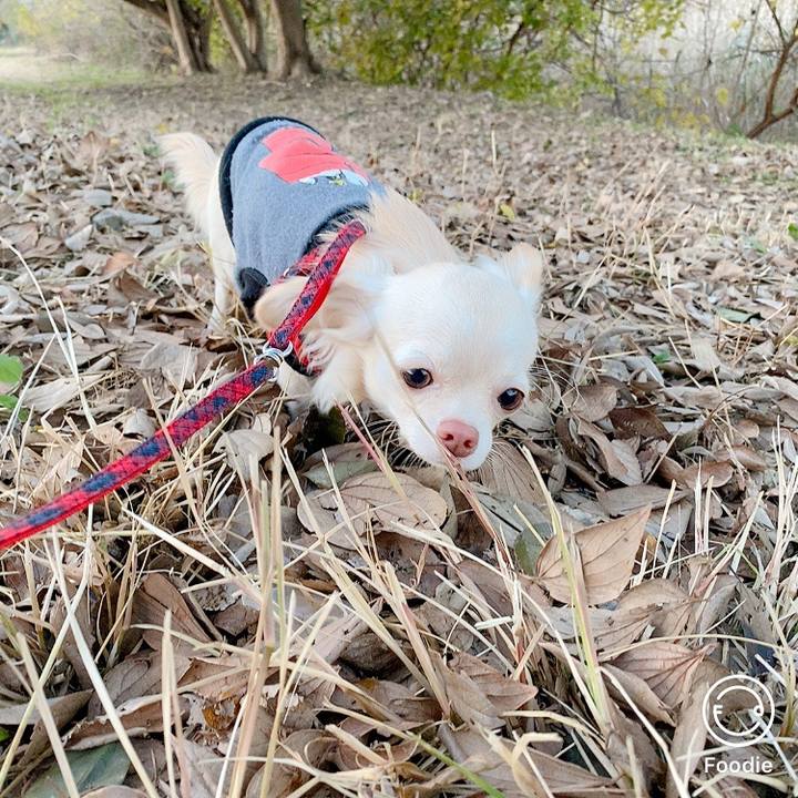 2f3961da bd14 47bb 994c 7747284934b8 1607336498207