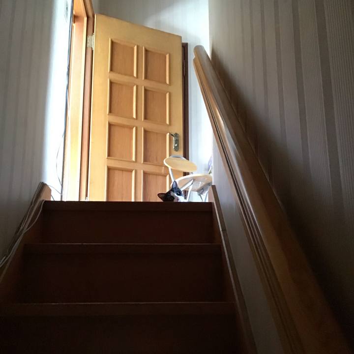 2f396290 d655 4748 98c4 e129b4f71405 1663034580638