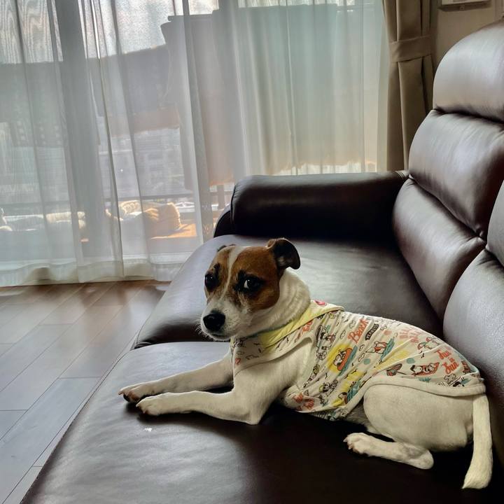 2f396296 f4f0 4722 aab8 bb44dc5c5d40 1717812247546