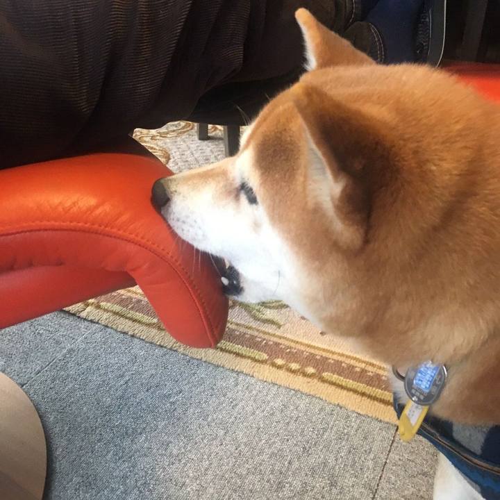 2f396ba5 f32b 41b3 93c4 5f50da8d62b0 1549261543604