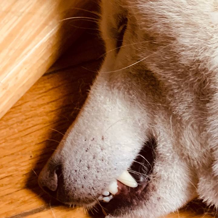 2f3973f4 5576 4e67 89a8 621e63c44114 1586440312992