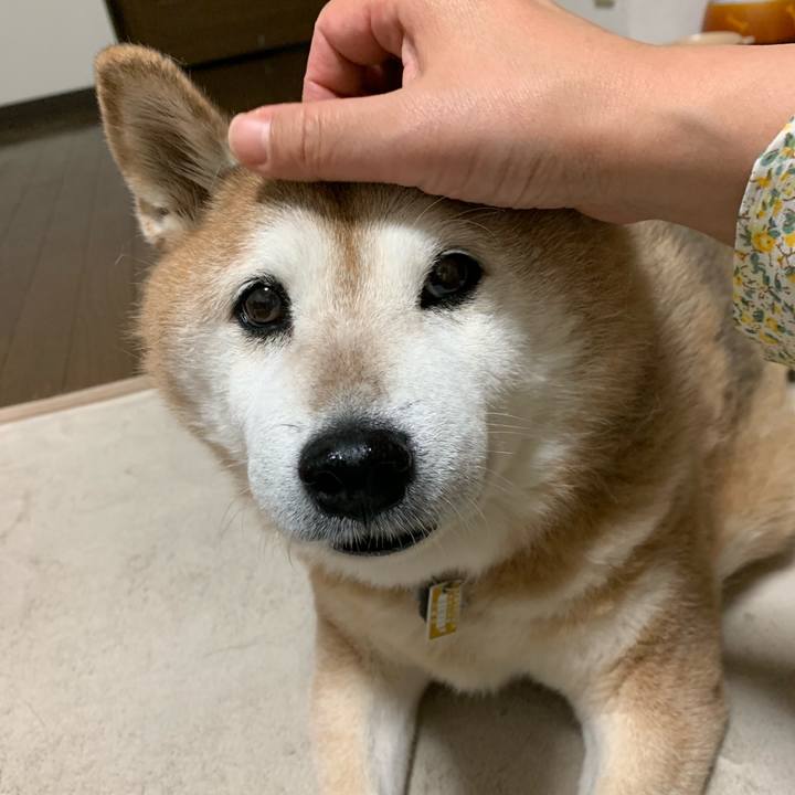 2f397ad8 c9a6 43f3 a999 d89a258cf14c 1569752522265