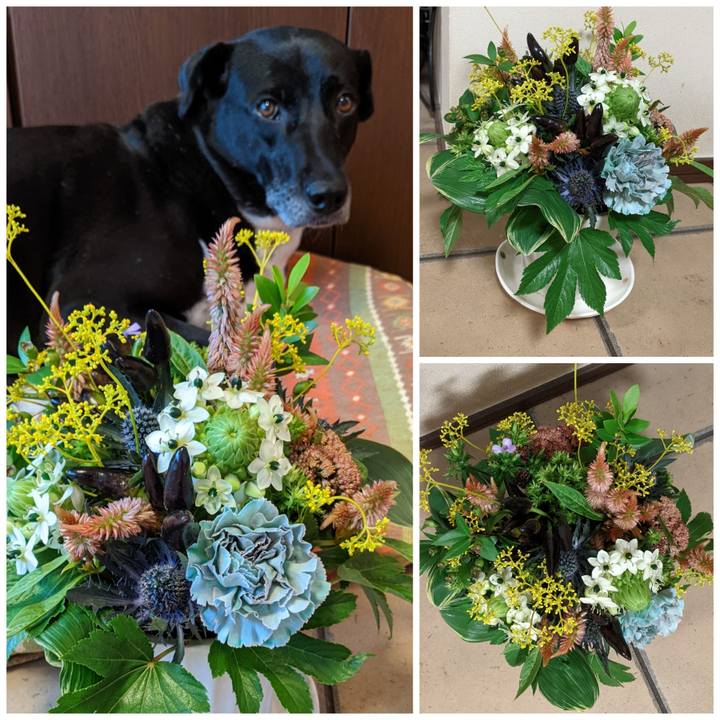 2f399fb2 babb 403c b6c9 17bb34913ad5 1662027054457