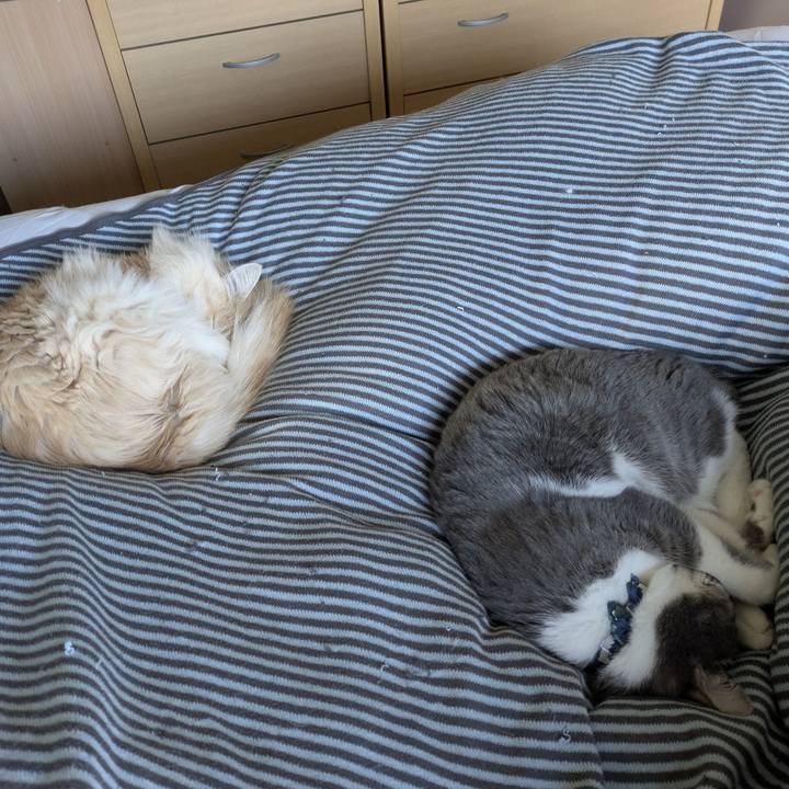 2f39afee a8d9 4beb ba49 0d431652c970 1772760525358