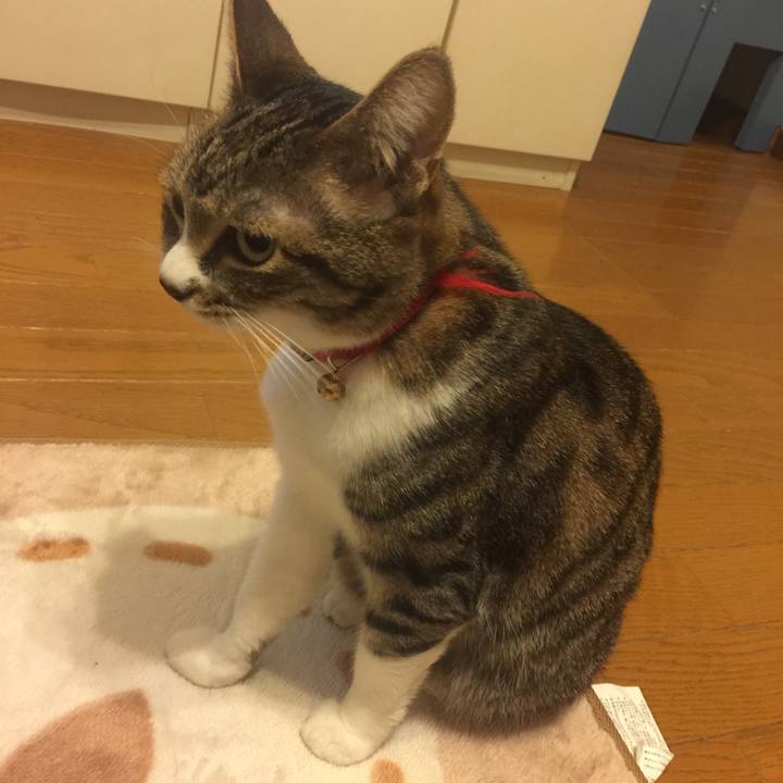 2f39ff33 2ad3 4189 b9e9 7465317a5562 1556031626747