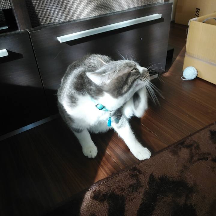 2f39ffab 4840 4eb5 ac3f c616e32e3c12 1578361632663