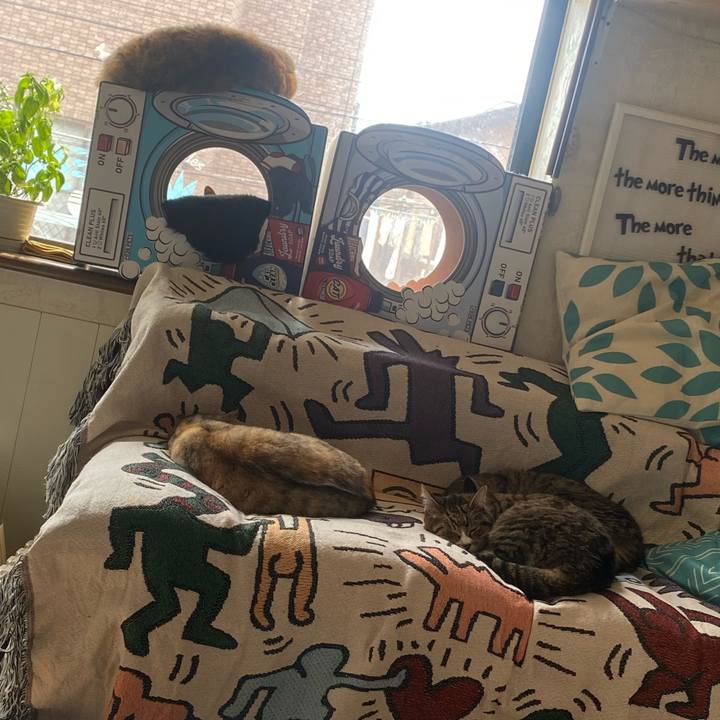 2f3a1451 a696 4fe7 9c1e 8617d5b62aa1 1712977105433